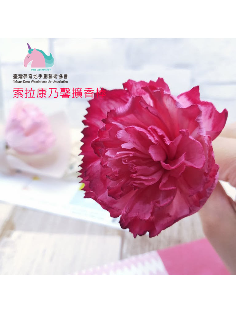 夢奇地,展覽,苗栗,研習課